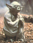 Yoda McFly